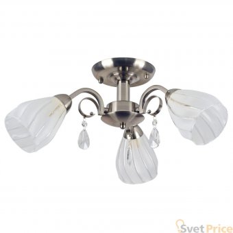 Потолочная люстра Spot Light Gera 5819327