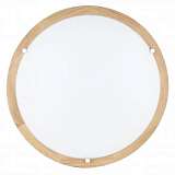Настенно-потолочный светильник Spot Light Frida 4753074