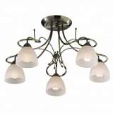 Потолочная люстра Odeon Light Kaena 2120/5C